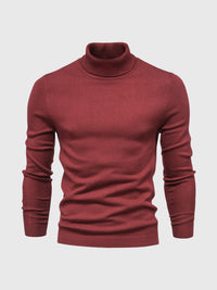 Maglione da uomo a collo alto e maniche lunghe