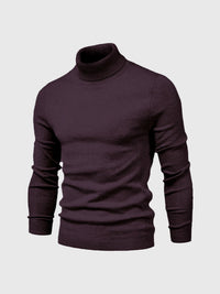 Maglione da uomo a collo alto e maniche lunghe