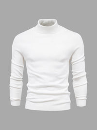 Maglione da uomo a collo alto e maniche lunghe